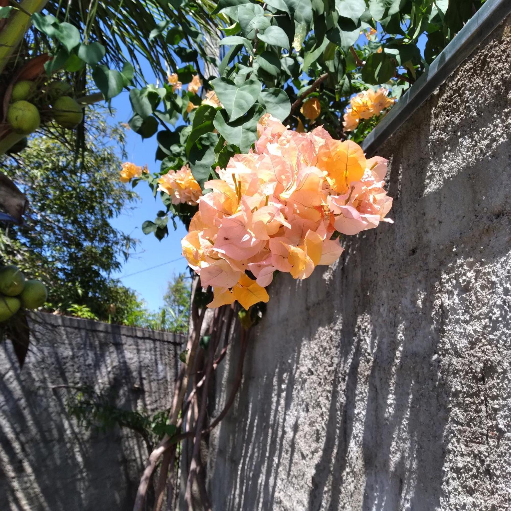 Casa China & Silva, Otima Casa Para Praia Ou Descanso, Proximo As Dunas Da Sabiaguaba E Shoppings Em Eusebio E Fortaleza Ce Eksteriør bilde